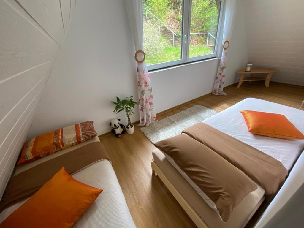 Haus Adler - Komplettes Ferienhaus Am Badesee Erzgrube 外观 照片